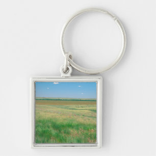 NA, USA, NE. Grasslands near Ogallala with Keychain