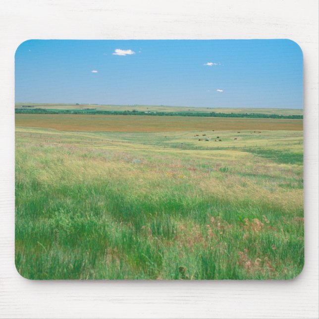 NA, USA, NE. Grasslands near Ogallala with Mouse Pad (Front)