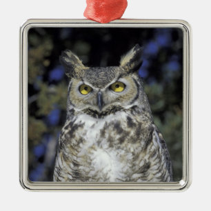 NA, USA, New Mexico, Wildlife West Nature Park Metal Ornament