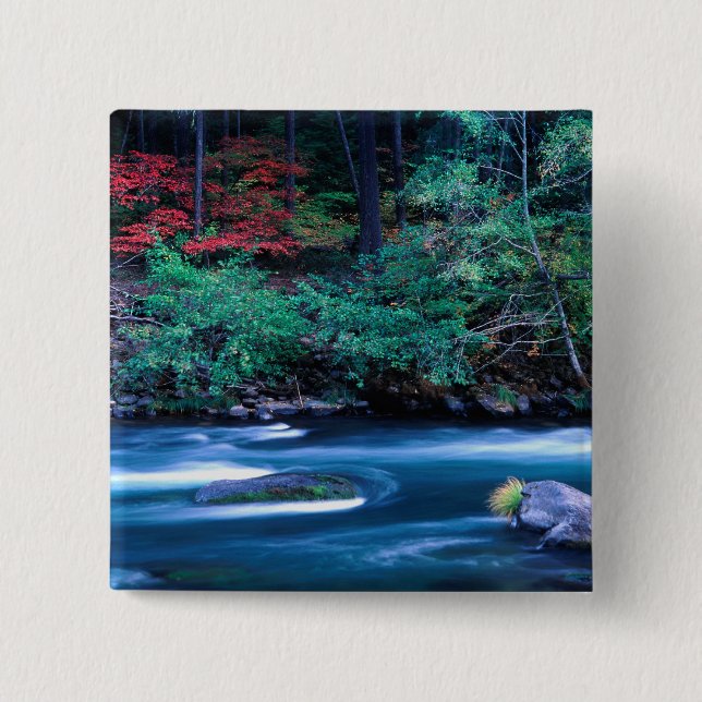 NA, USA, Oregon, Fall Foliage on North Umpquah 2 Inch Square Button (Front)