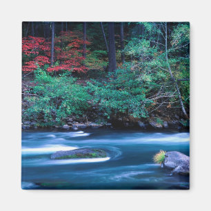 NA, USA, Oregon, Fall Foliage on North Umpquah Magnet