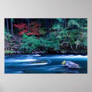NA, USA, Oregon, Fall Foliage on North Umpquah Poster