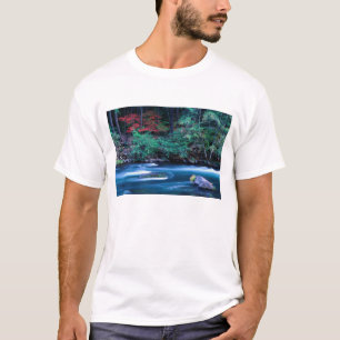 NA, USA, Oregon, Fall Foliage on North Umpquah T-Shirt