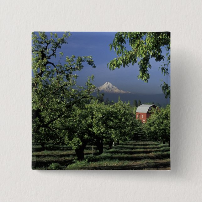 NA, USA, Oregon, near Hood River Mt. Hood with 2 Inch Square Button (Front)