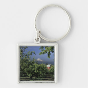 NA, USA, Oregon, near Hood River Mt. Hood with Keychain