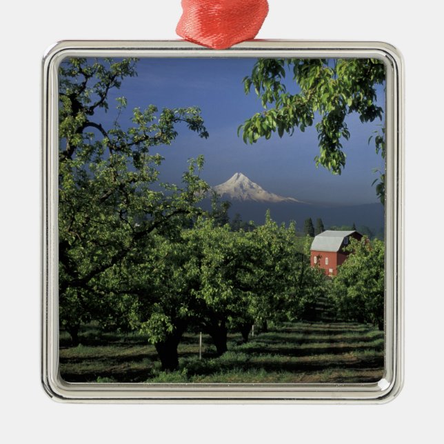 NA, USA, Oregon, near Hood River Mt. Hood with Metal Ornament (Front)