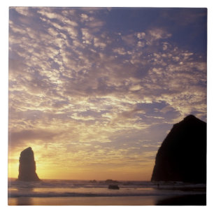 NA, USA, Oregon, Oregon Coast, Canon Beach with Tile