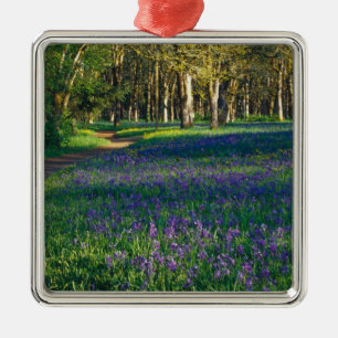 NA, USA, Oregon, Salem. Field of camas and 3 Metal Ornament