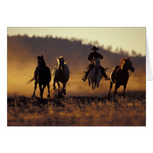 NA, USA, Oregon, Seneca, Ponderosa Ranch, Cowboy 2