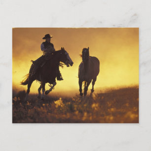 NA, USA, Oregon, Seneca, Ponderosa Ranch, Cowboy 3 Postcard