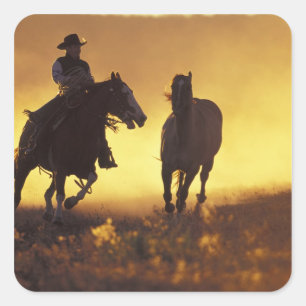 NA, USA, Oregon, Seneca, Ponderosa Ranch, Cowboy 3 Square Sticker
