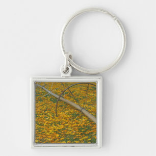 NA, USA, Oregon. Watering system in field of Keychain