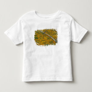 NA, USA, Oregon. Watering system in field of Toddler T-shirt
