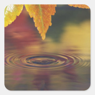 NA, USA, Pacific Northwest Square Sticker