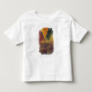 NA, USA, Pacific Northwest Toddler T-shirt