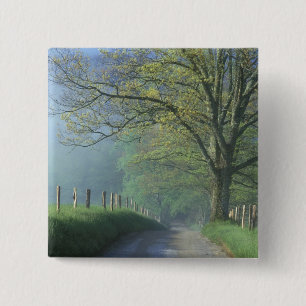 NA, USA, Tennessee, Cades Cove, Great Smoky 2 Inch Square Button