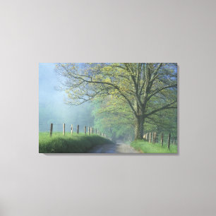 NA, USA, Tennessee, Cades Cove, Great Smoky Canvas Print
