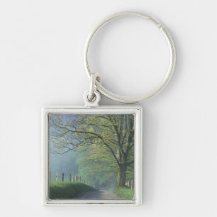 NA, USA, Tennessee, Cades Cove, Great Smoky Keychain