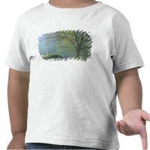 NA, USA, Tennessee, Cades Cove, Great Smoky Tee Shirts