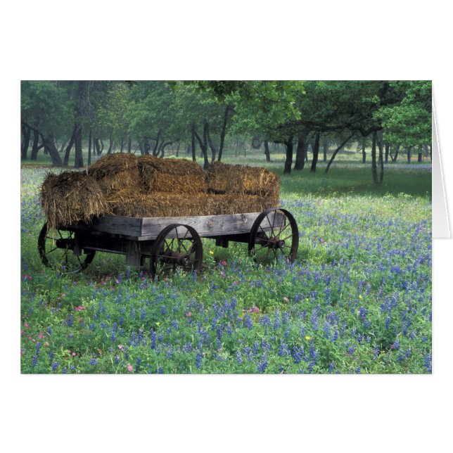 NA, USA, Texas, à l'est de Devine, Vieux wagon dan (Devant horizontal)
