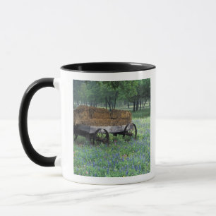 NA, USA, Texas, east of Devine, Old wagon in Mug