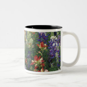 NA, USA, Texas, near Marble Falls, Paint brush Two-Tone Coffee Mug