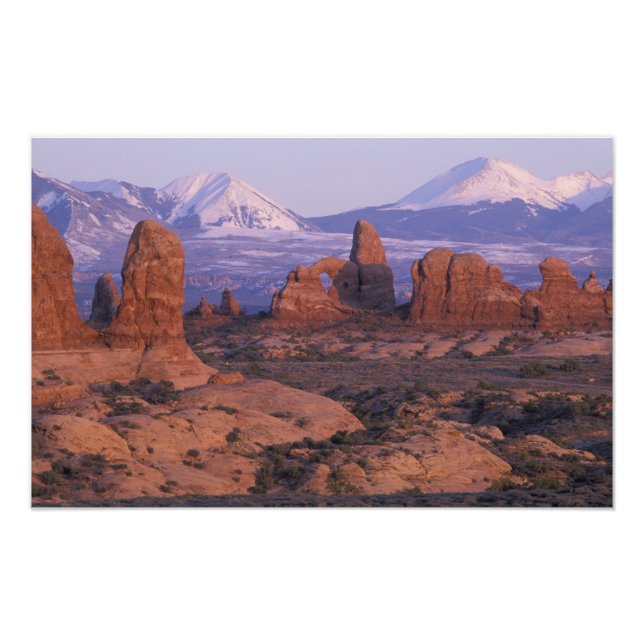 NA, USA, Utah, Arches National Park. Garden of Photo Print (Front)