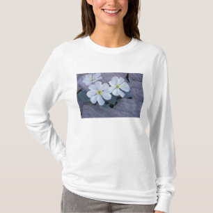 NA, USA, Utah, Arches NP, Evening primrose T-Shirt