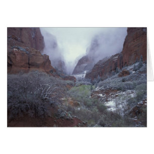 NA, USA, Utah, Zion NP, Spring snow storm,