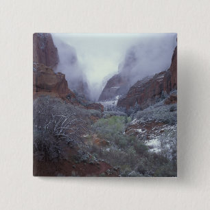 NA, USA, Utah, Zion NP, Spring snow storm, 2 Inch Square Button