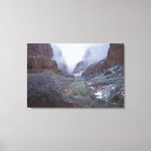 NA, USA, Utah, Zion NP, Spring snow storm, Canvas Print