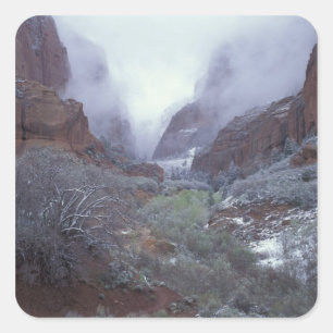 NA, USA, Utah, Zion NP, Spring snow storm, Square Sticker