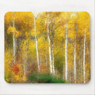 NA, USA, Washington, Fall Aspen Trees along Mouse Pad