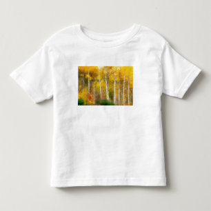 NA, USA, Washington, Fall Aspen Trees along Toddler T-shirt