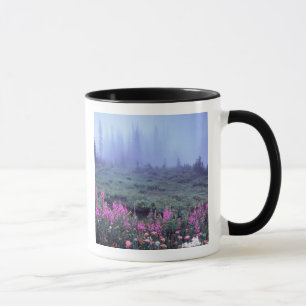 NA, USA, Washington, Foggy Alpine Meadow, Mt. Mug