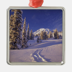 NA, USA, Washington, Mt. Rainier NP, Snowshoe Metal Ornament
