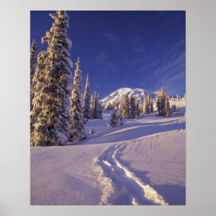 NA, USA, Washington, Mt. Rainier NP, Snowshoe Poster