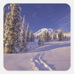 NA, USA, Washington, Mt. Rainier NP, Snowshoe Square Sticker