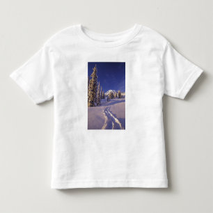 NA, USA, Washington, Mt. Rainier NP, Snowshoe Toddler T-shirt