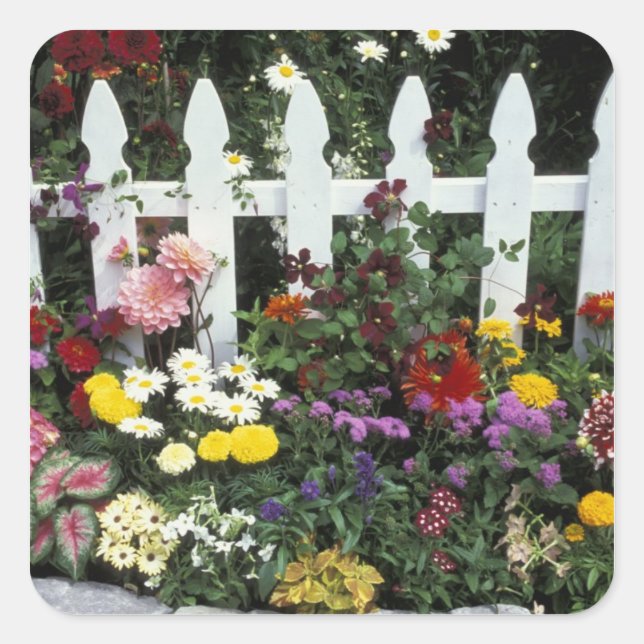 NA, USA, Washington, Sammamish, White picket Square Sticker (Front)