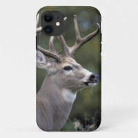 NA, USA, Washington State, White-tailed deer,