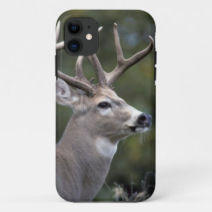 NA, USA, Washington State, White-tailed deer, iPhone 11 Case