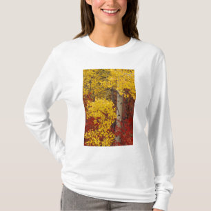 NA, USA, Washington, Wenatchee National Forest. T-Shirt