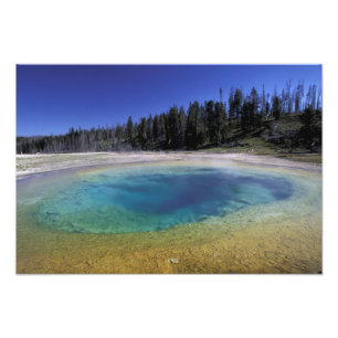 NA, USA, Wyoming, Yellowstone National Park. 2 Photo Print