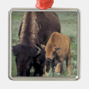 NA, USA, Wyoming, Yellowstone National Park. Metal Ornament