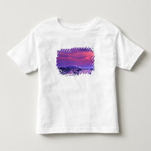 NA, USA, Wyoming, Yellowstone NP, Lamar Valley Toddler T-shirt