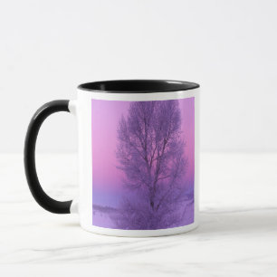 NA, USA, Wyoming, Yellowstone NP, Landscape Mug