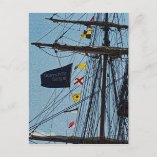 N'abandonnez pas la carte postale Drapeau d'expédi