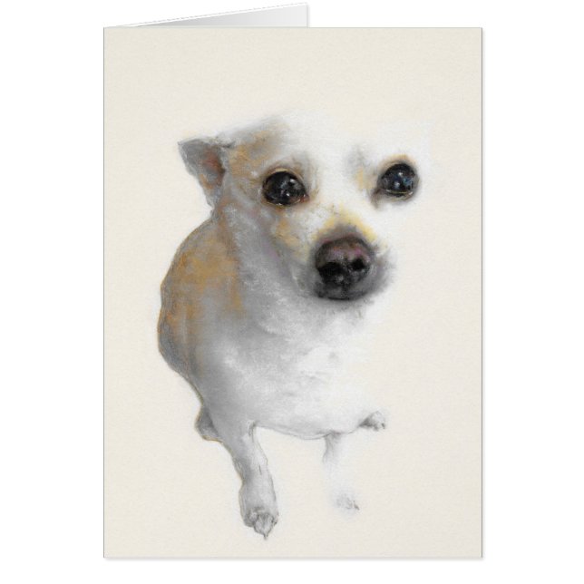 Nacho, la carte blanche du Chihuahua (Devant)