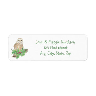 Nacre de Noël Chouette Oiseau Nature Custom Art Ét